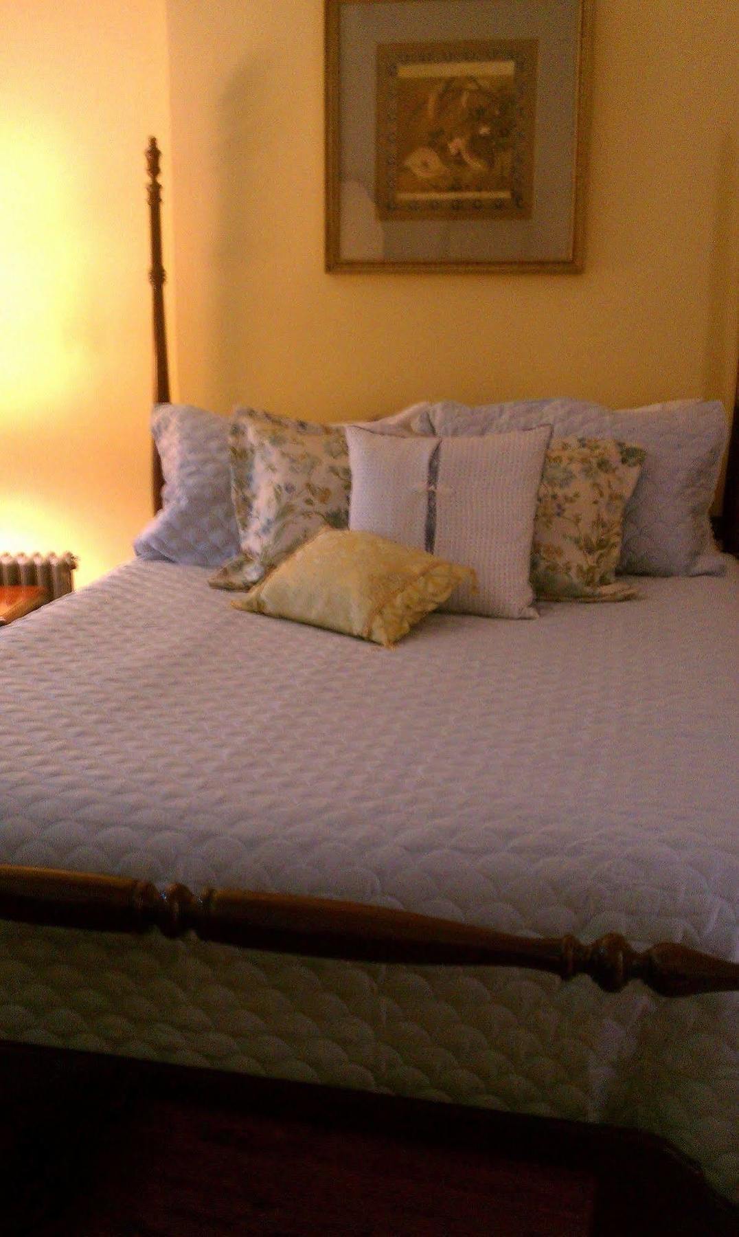 Forget Me Not B & B Saint Louis Luaran gambar